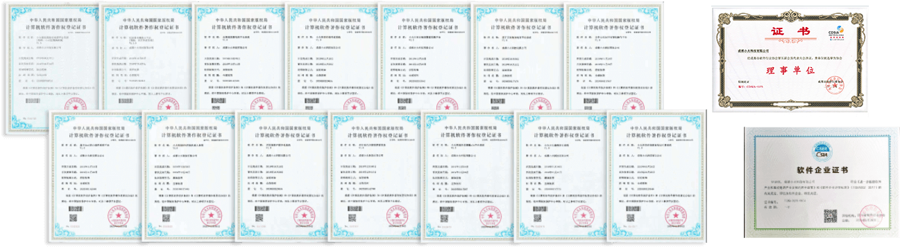 成都(dōu)專業(yè)的(de)軟件(jiàn)公司